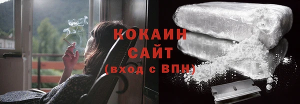 сатива Строитель