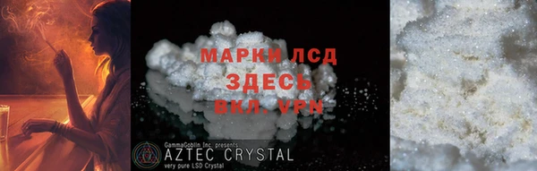 сатива Строитель