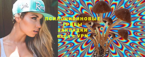 стафф Ступино