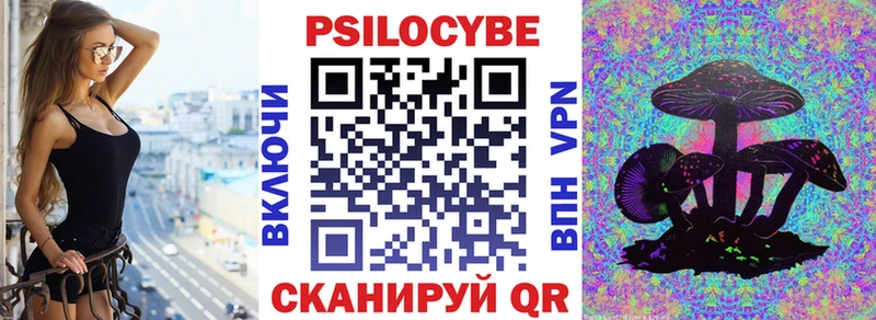 Купить закладки  Стародуб  Галлюциногенные грибы мухоморы 